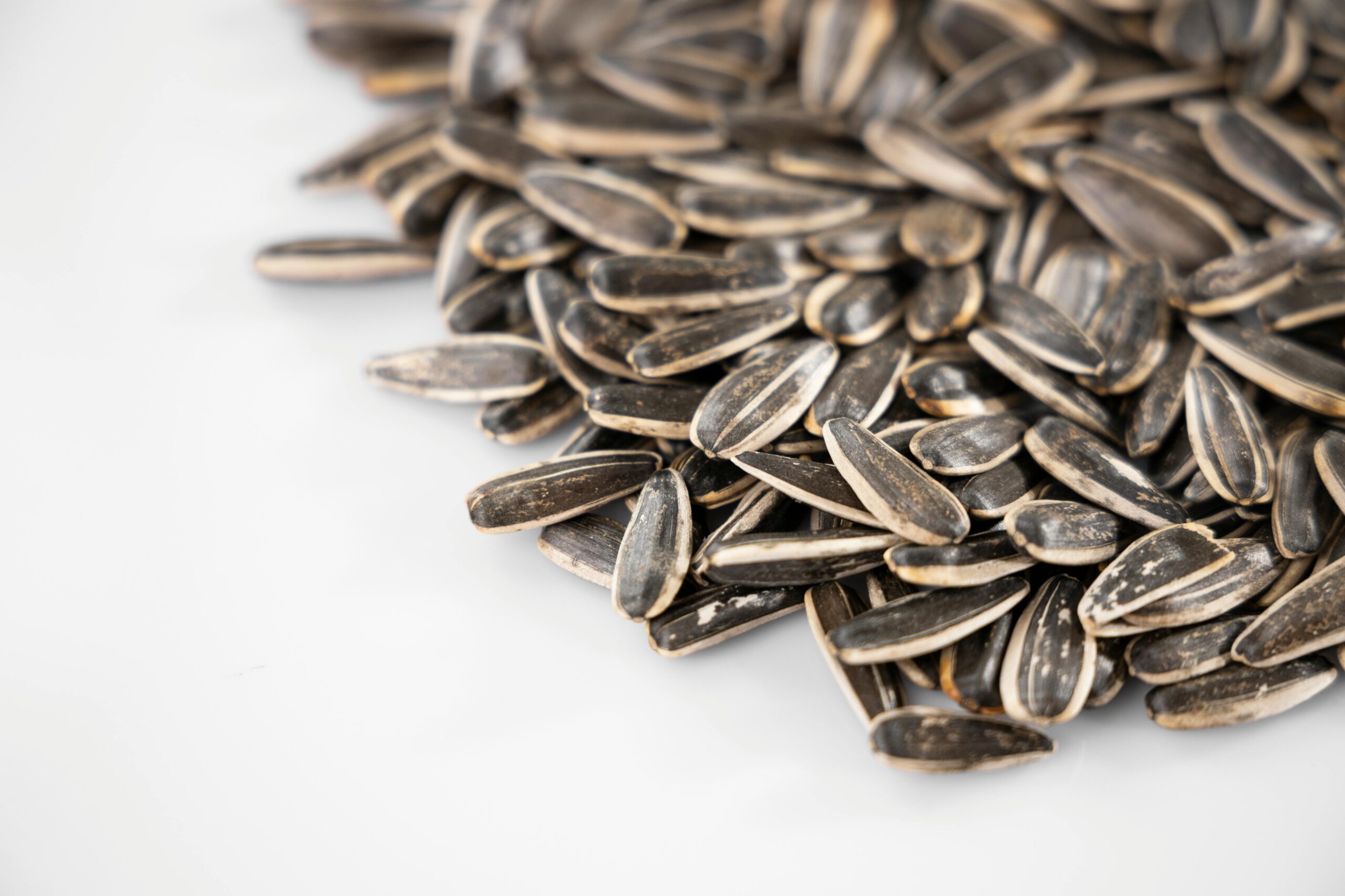 Pile of sunflower seeds displayed on a white surface, perfect for healthy snack themes.